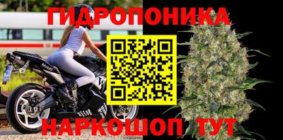 гидропоника Бугуруслан