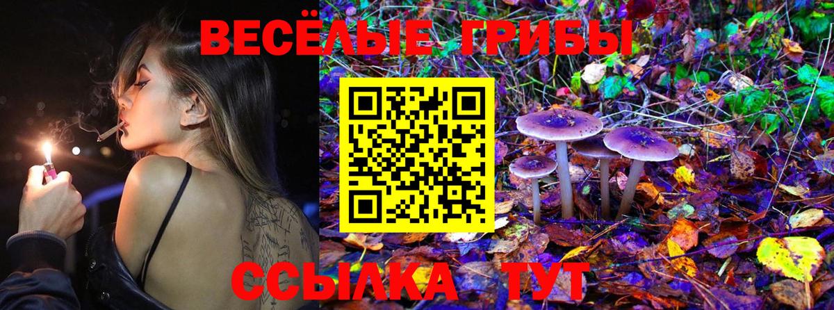 Галлюциногенные грибы Psilocybine cubensis  Вход с VPN  Галлюциногенные грибы MAGIC MUSHROOMS  Коркино 